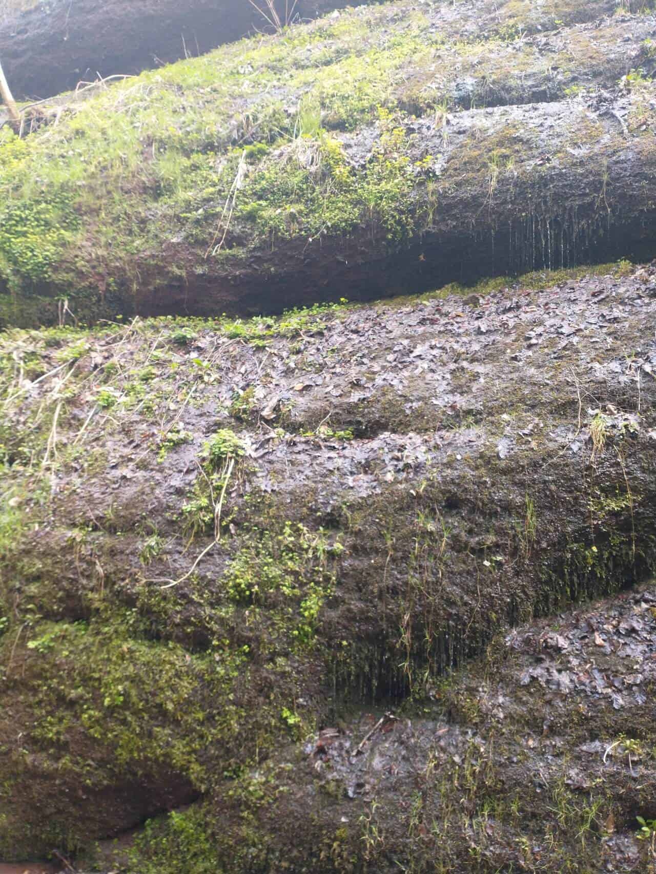 Drachenschlucht - spektakulär tropft das Wasser von den Felsen