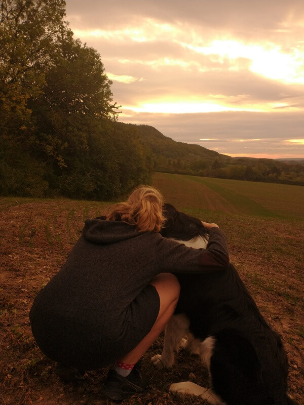 Tierarzt- hockendes Mädchen umarmt ihren sitzenden Landseer, beide schauen sich gemeinsam den Sonnenuntergang an