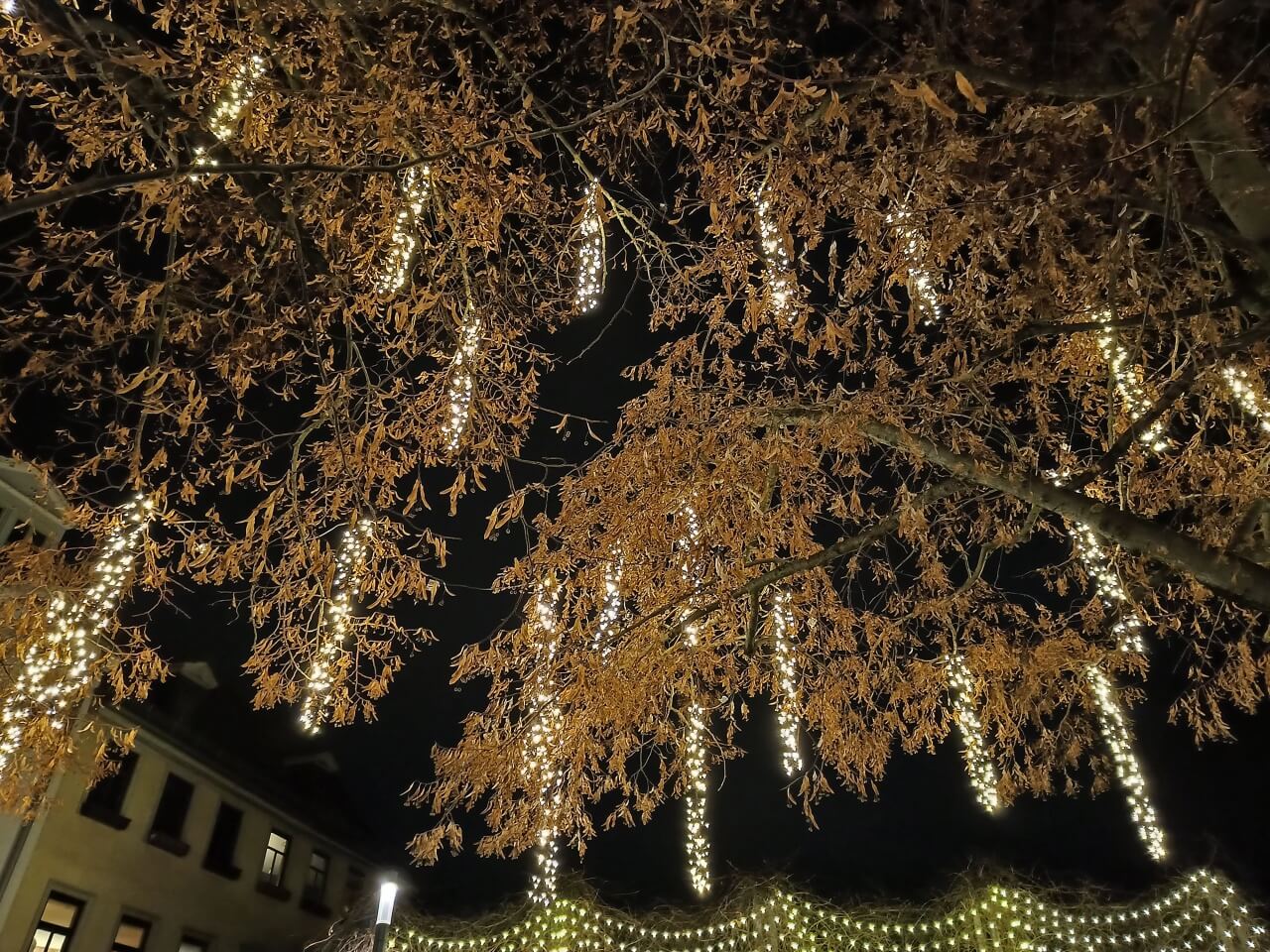 Weihnachtsmarkt Weimar - vom Baum herabhängende Lichterketten
